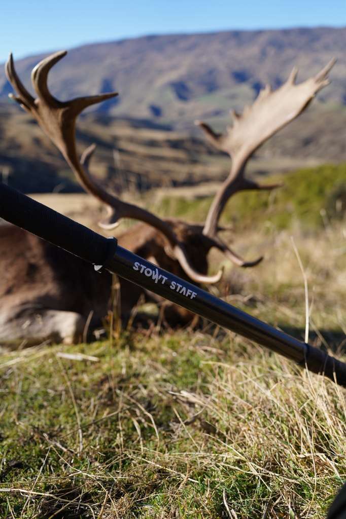 Elk hunting country with Stowt Staff